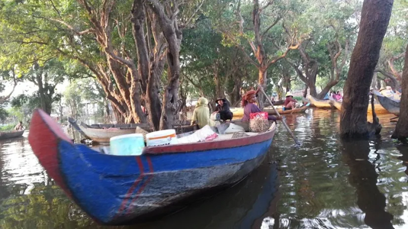 Transport ryb po połowach na jeziorze Tonle Sap, Kambodża (jezioro to jest przełowione, traci różnorodność gatunkową). 2014. Źródło: A.Afelt