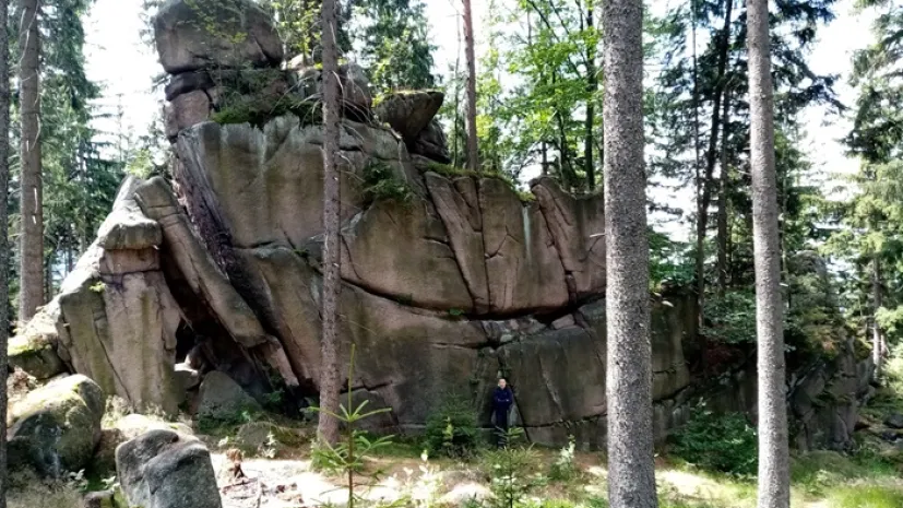 fot. A. Michniewicz