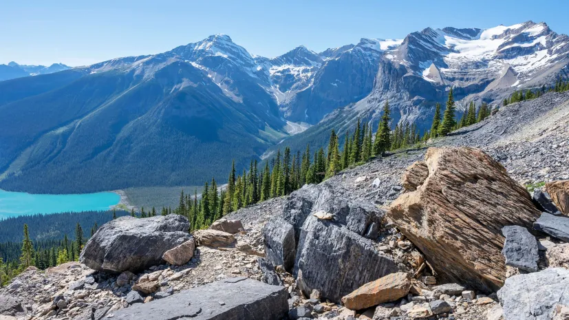 Stanowisko paleontologiczne Burgess Shale. Fot. Adobe Stock