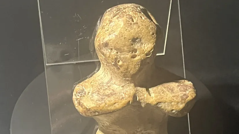 Fot. materiały prasowe