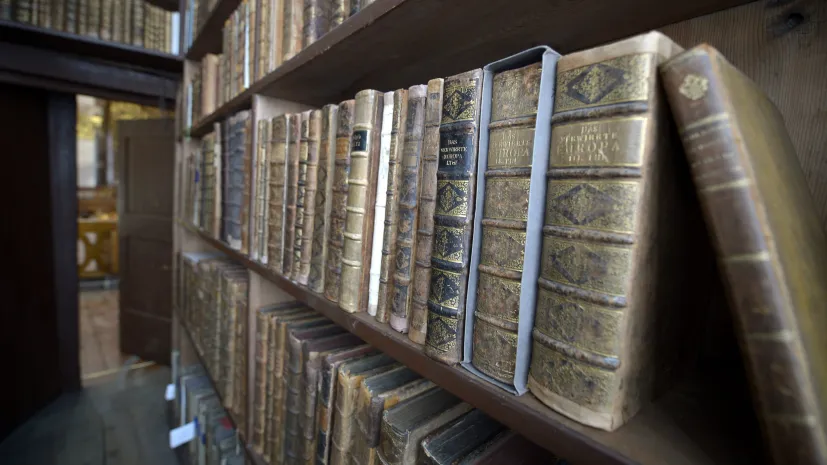 27.11.2013 EPA/ROLAND SCHLAGER