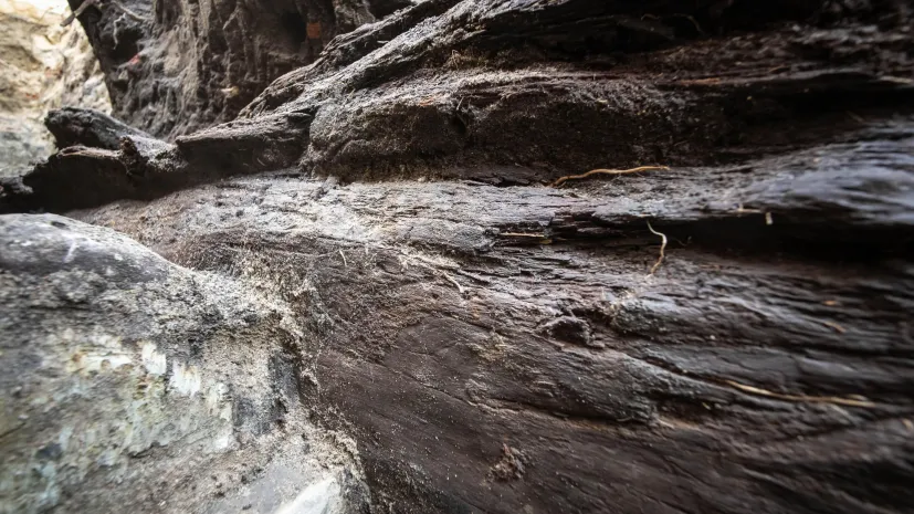 19.11.2025  PAP/Tytus Żmijewski