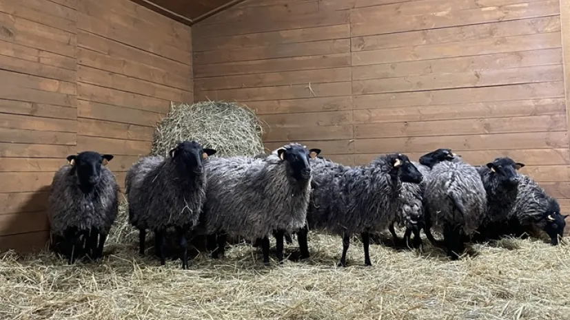 Źródło: mat. prasowe UPP