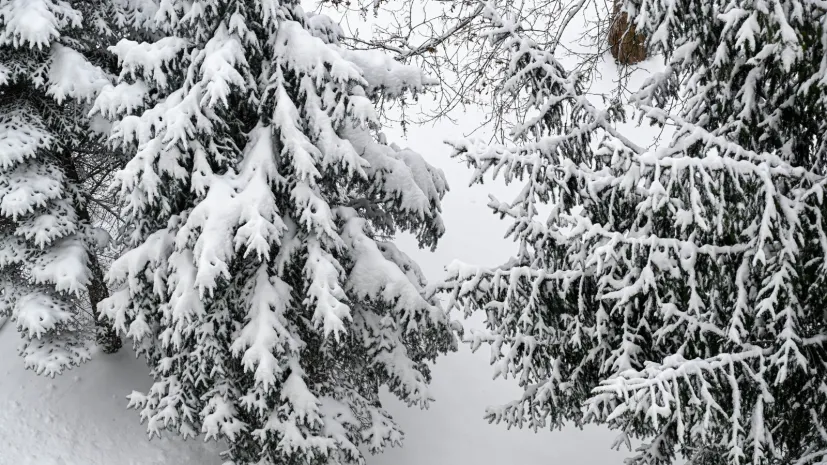 07.01.2026. PAP/Darek Delmanowicz