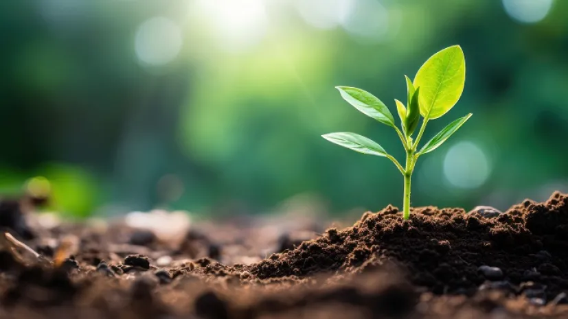 Źródło: Adobe Stock