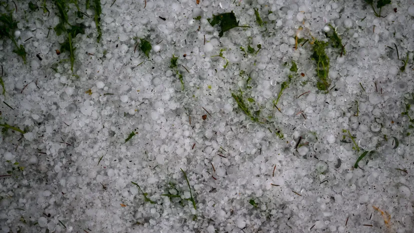 18.04.2025 PAP/Darek Delmanowicz