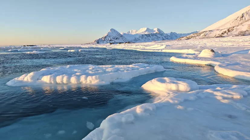 Fot. Krzesimir Tomaszewski