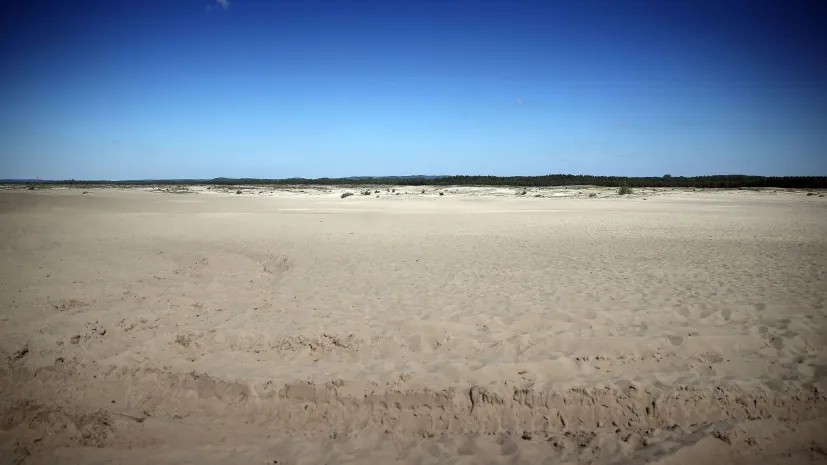 , 03.06.2022. Pustyna Błędowska przed rozpoczęciem sezonu turystycznego, 3 bm. w Kluczach. Pustynia Błędowska to największy w Polsce obszar lotnych piasków, leżący na pograniczu Wyżyny Śląskiej i Wyżyny Olkuskiej. Obszar pustyni objęty jest programem ochrony Natura 2000. PAP/Łukasz Gągulski
