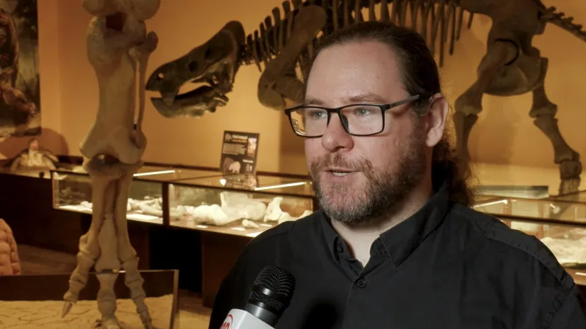 Na zdjęciu dr Tomasz Szczygielski, Instytut Paleobiologii PAN. Źródło: PAP