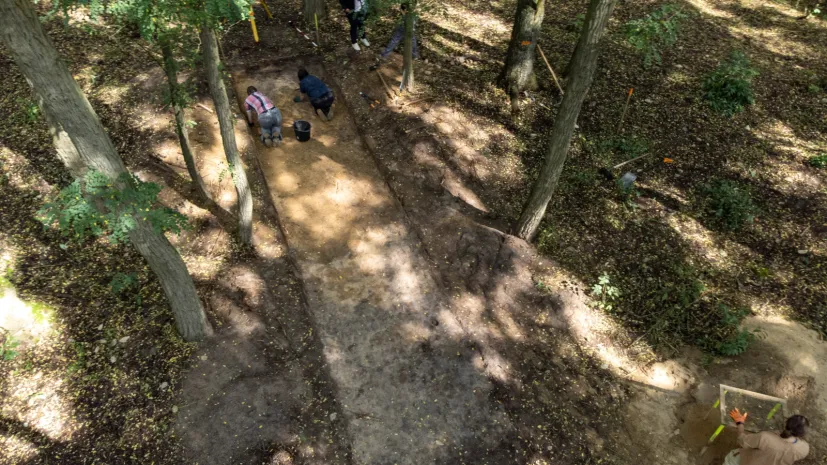 20.08.2026. Archeologiczne badania weryfikacyjne megalitu w Parku Krajobrazowym im. gen. Dezyderego Chłapowskiego w miejscowości Wyrzeka, 20 bm. Archeolodzy badają monumentalny grobowiec ziemny, który mógł powstać około 5,5 tysiąca lat temu. (sko) PAP/Jakub Kaczmarczyk