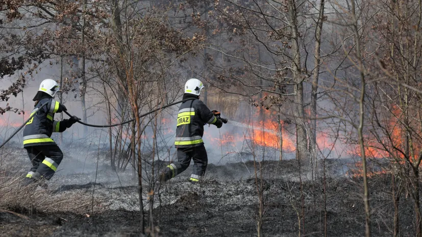 14.04.2022 PAP/Paweł Supernak